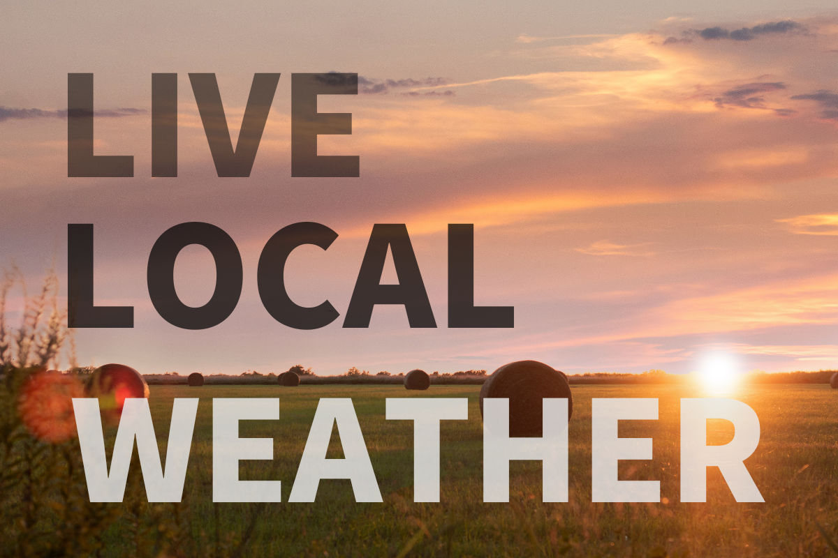 Live Local Weather